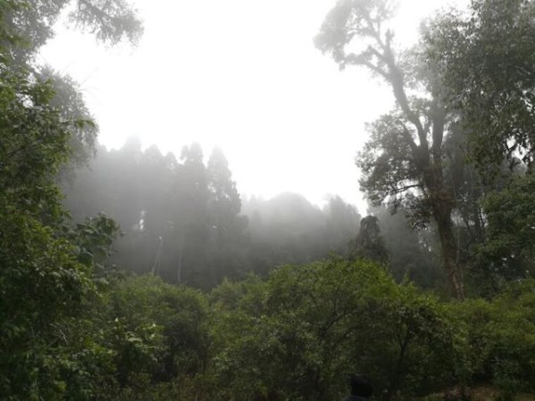 Jhandi Dara Sunrise Point-2